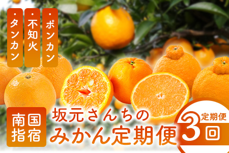 【全３回定期便】坂元さんちのみかん定期便(坂元果樹園/Z-059) みかん ミカン ポンカン タンカン 定期便 フルーツ 果物 新鮮 鹿児島 みかん しらぬい 柑橘 フルーツ 冬の旬 指宿