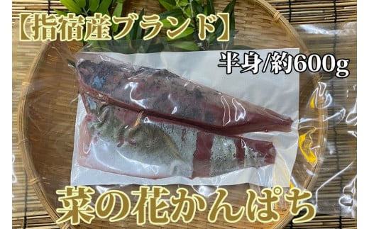朝〆発送！指宿産 菜の花かんぱちフィレ半身約600g(指宿山川水産/016-1336)