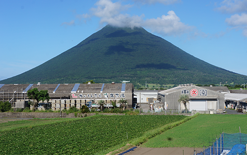 ＜高島屋選定品＞指宿マンゴージェラート9個セット(TK017-1835/59D1953)