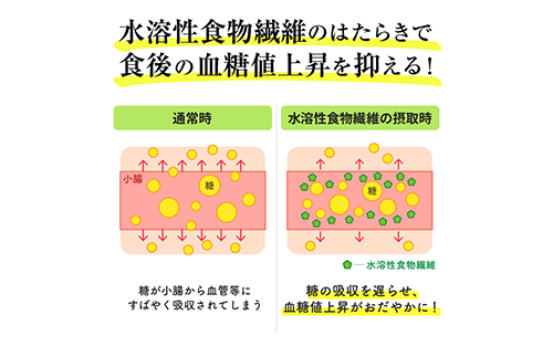 【機能性表示食品】オクラパウダー120g　食後の血糖値上昇を抑える！オクラ由来水溶性食物繊維のちから(エール/014-1079) オクラ 機能性 機能性表示食品 いぶすき 指宿 健康 オクラ水