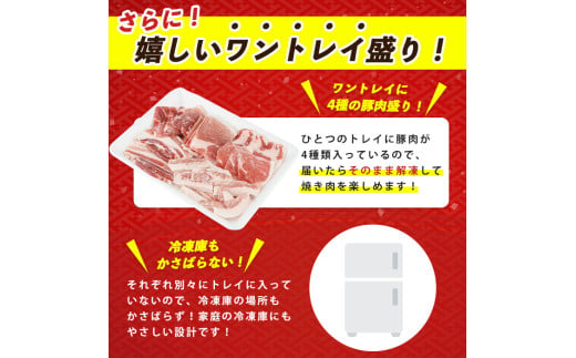 【指宿産かごしま黒豚】焼肉バラエティセット1kg(岡村商店/IB024-013)