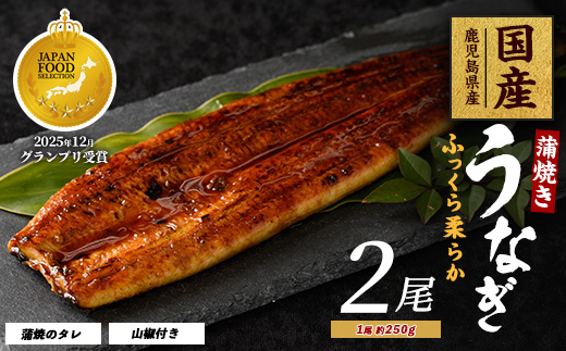 【鹿児島県産】うなぎ蒲焼じっくり焼き約250g×2尾 木目化粧箱入り(大新/020-1107) 鰻 蒲焼 国産 丑の日 うな重 無頭 ギフト ふっくら 小分け レンジ 簡単