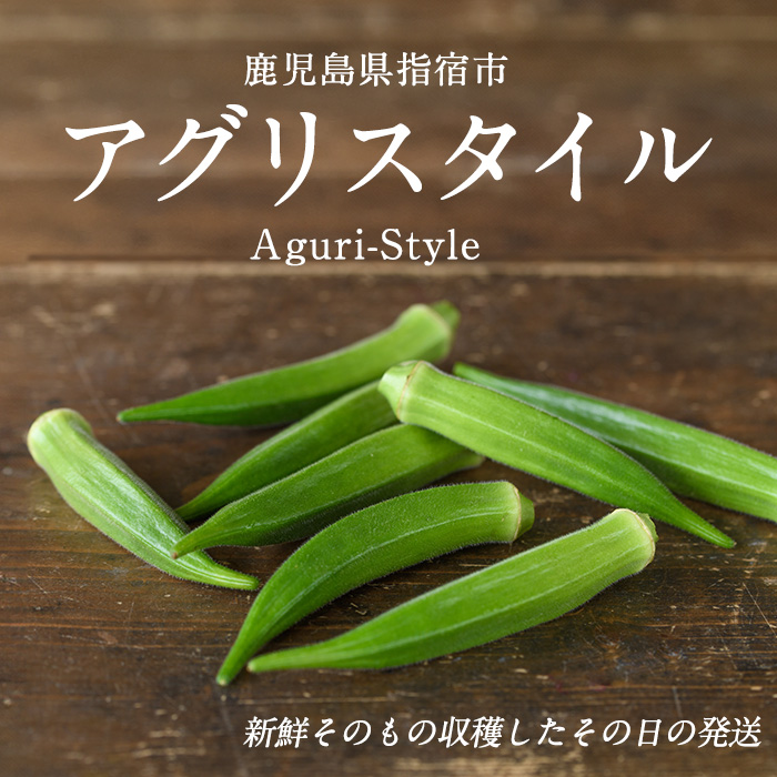 【2026年5月下旬～発送】新鮮オクラ1kg×3袋(アグリスタイル/IB066-005) 野菜 夏野菜 夏 旬 フレッシュ ベジタブル いぶすき 鹿児島