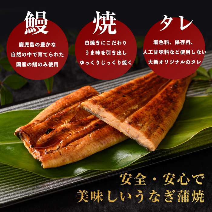 【歳末感謝！】【鹿児島県産】うなぎ蒲焼じっくり焼き約165g×3尾 化粧箱入り(大新/023-1105)  うなぎ 国産 鹿児島 蒲焼 丑の日 丑 土用丑の日 
