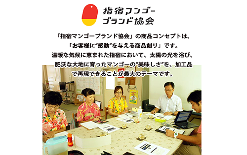 ＜高島屋選定品＞指宿マンゴージェラート9個セット(TK017-1835/59D1953)