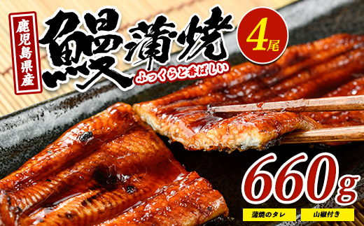 【2025年12月21日までのご入金で年内発送】【鹿児島県産】 鰻の蒲焼(無頭背開き)約165g×4尾(山中水産/033-1066) うなぎ 国産 鹿児島 蒲焼 丑の日 丑 土用丑の日