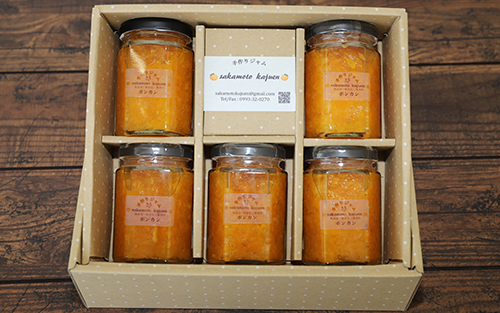 ã¿ãã蟲家åå
ããã¡ã®æäœããã³ã«ã³ãžã£ã 5åã»ãã(åå
ææš¹å/IB043-002) ãžã£ã æé ããžã£ã æäœããžã£ã æäœã æé ã ãžã£ã æã¥ãã ããŒãã¬ãŒã ããã¬ãŒã 蟲家 ã¿ãã ãã¶ãã