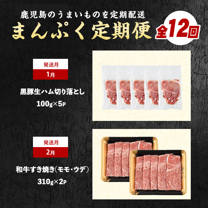 【2026年発送 先行予約】【全１２回定期便】鹿児島自慢の 豚 ・ 牛 ・ うなぎ まんぷく 定期便 (水迫畜産/Z100-1773) 頒布会 頒布 定期 国産 肉 豚 牛 豚肉 牛肉 鹿児島県産 生ハム すき焼き 和牛 国産牛 薄切り スライス 黒毛和牛 霜降り バラ ロース 黒豚 鍋 しゃぶしゃぶ カルビ 小分け カレー シチュー ステーキ 焼き肉 焼肉 指宿 鹿児島 いぶすき