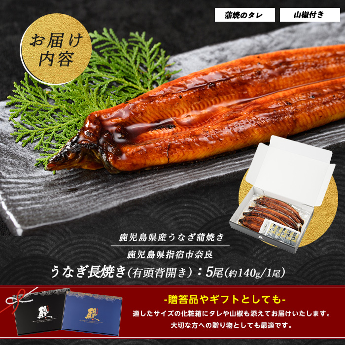 縲宣ケソ蜈仙ウカ逵檎肇縲鷹ーサ闥イ辟シ5蟆セ(螂郁憶/036-1312) 縺縺ェ縺 蝗ス逕」 鮖ソ蜈仙ウカ 闥イ辟シ 荳代ョ譌・ 荳 蝨溽畑荳代ョ譌・