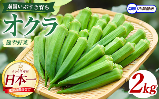 指宿(いぶすき)産オクラ2kg(オネファーム/IB130-003) 野菜 夏野菜 旬 特産 夏 新鮮 オクラ 鹿児島 オネファーム 指宿市 漬物 お福分け おすそ分け