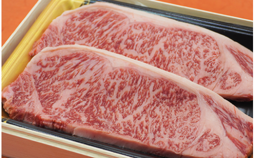 シ憺ォ伜ウカ螻矩∈螳壼刀シ樣ケソ蜈仙ウカ逵檎肇鮟呈ッ帛柱迚帙し繝シ繝ュ繧、繝ウ繧ケ繝繝シ繧ュ(TK029-1830/59D1894)