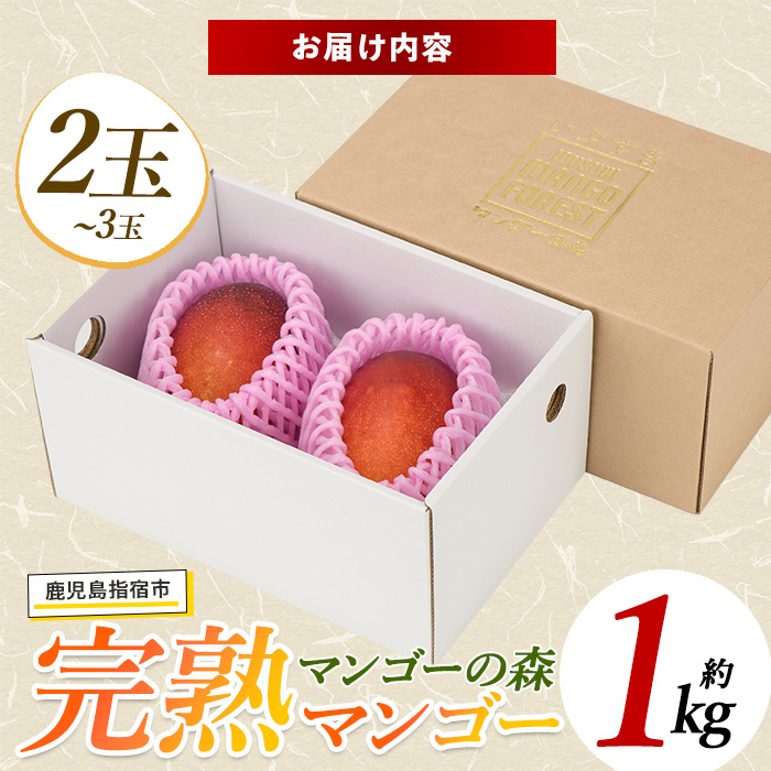 【2026年 発送】しあわせ完熟マンゴー2〜3玉入り(マンゴーの森/022-1769) マンゴー フルーツ 果物 旬 夏 指宿 いぶすき 鹿児島  完熟  お供え 御供 ギフト 贈り物 プレゼント グルメ 予約 先行予約 南国 南国フルーツ 果実 マンゴー グランプリ マイスター 太陽 国産 鹿児島県産 果汁
