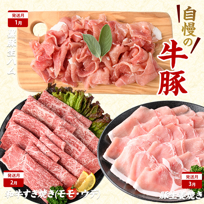 【2026年発送 先行予約】【全１２回定期便】鹿児島自慢の 豚 ・ 牛 ・ うなぎ まんぷく 定期便 (水迫畜産/Z100-1773) 頒布会 頒布 定期 国産 肉 豚 牛 豚肉 牛肉 鹿児島県産 生ハム すき焼き 和牛 国産牛 薄切り スライス 黒毛和牛 霜降り バラ ロース 黒豚 鍋 しゃぶしゃぶ カルビ 小分け カレー シチュー ステーキ 焼き肉 焼肉 指宿 鹿児島 いぶすき