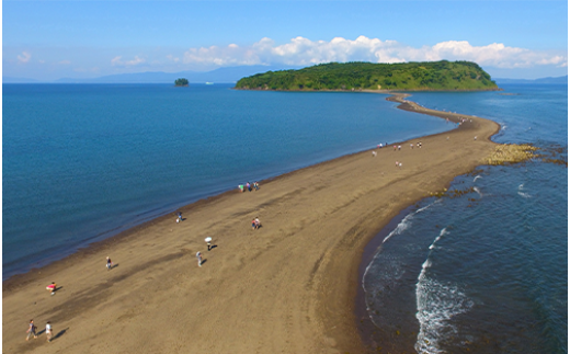 ≪返礼品なし≫鹿児島県指宿市への応援寄附金(1口：5,000円)005-155