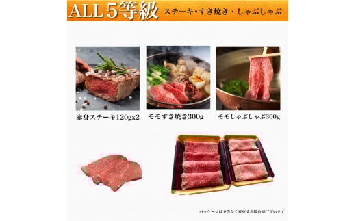 ALL5等級鹿児島県産黒毛和牛(水迫畜産/033-1196)