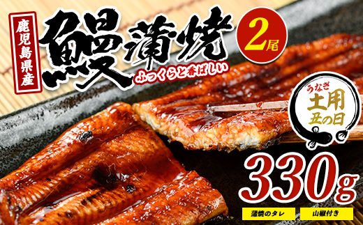 【丑の日に合わせてお届け！】鹿児島県産鰻の蒲焼(無頭背開き)約165g×2尾(山中水産/IB022-001u)うなぎ 国産 鹿児島 蒲焼 丑の日 丑 土用丑の日