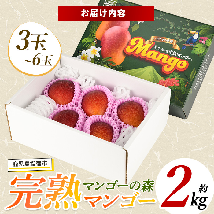 【2026年 発送】しあわせ完熟マンゴー3〜6玉入り(マンゴーの森/044-1768) マンゴー フルーツ 果物 旬 夏 指宿 いぶすき 鹿児島  完熟  お供え 御供 ギフト 贈り物 プレゼント グルメ 予約 先行予約 南国 南国フルーツ 果実 マンゴー グランプリ マイスター 太陽 国産 鹿児島県産 果汁