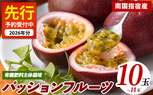 【2026年 発送】パッションフルーツ10玉～14玉(マンゴーの森/010-2058) 鹿児島 国産 指宿市 トロピカルフルーツ 南国フルーツ 果実 果肉 果物 ビタミン 農家直送  パッションフルーツ パッションフルーツジュース