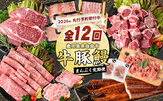【2026年発送 先行予約】【全１２回定期便】鹿児島自慢の 豚 ・ 牛 ・ うなぎ まんぷく 定期便 (水迫畜産/Z100-1773) 頒布会 頒布 定期 国産 肉 豚 牛 豚肉 牛肉 鹿児島県産 生ハム すき焼き 和牛 国産牛 薄切り スライス 黒毛和牛 霜降り バラ ロース 黒豚 鍋 しゃぶしゃぶ カルビ 小分け カレー シチュー ステーキ 焼き肉 焼肉 指宿 鹿児島 いぶすき