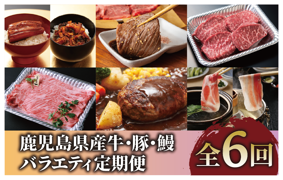 【全６回定期便】鹿児島県産牛・豚・鰻バラエティ定期便(Z100-2044) 牛肉 豚肉 うなぎ 鹿児島県産 鹿児島産 国産 定期 頒布会 スライス しゃぶしゃぶ すき焼き ハンバーグ 黒牛 黒豚 鹿児島黒牛 茶美豚 チャーミートン 焼肉 蒲焼 うなぎ蒲焼 6回