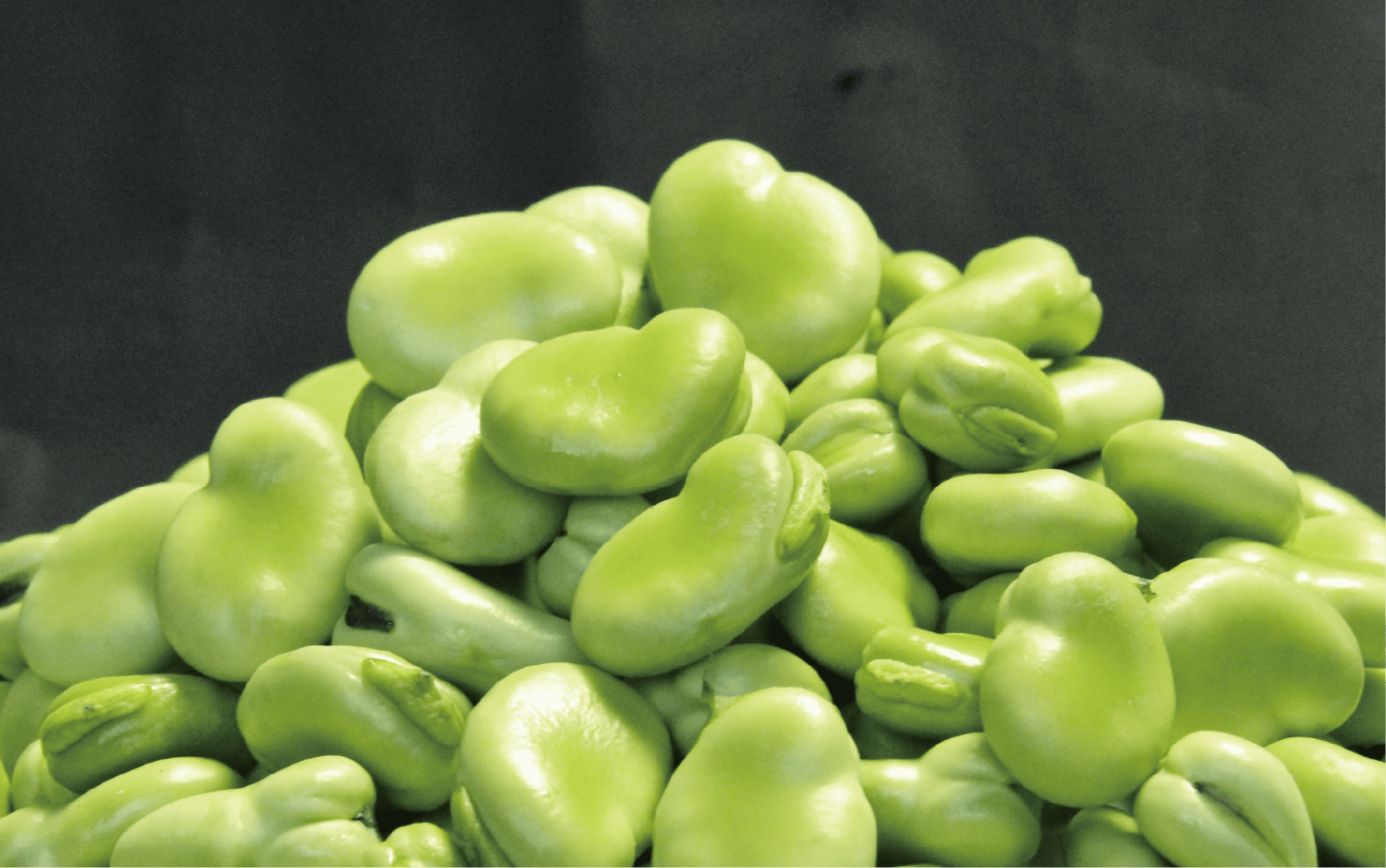 【2026年1月中旬〜発送】さや付きそら豆約4kgとスナップエンドウ約1kgのセット(アグリスタイル/022-1213) そらまめ ソラマメ えんどう 野菜 旬 サラダ 冬 指宿 鹿児島