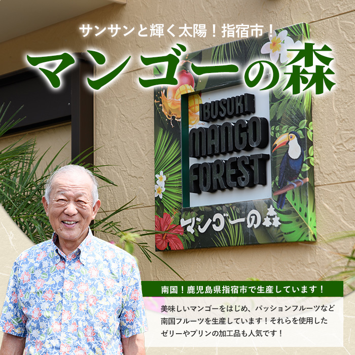 【2026年 発送】パッションフルーツ10玉〜14玉(マンゴーの森/IB040-010) 鹿児島 国産 指宿市 トロピカルフルーツ 南国フルーツ 果実 果肉 果物 ビタミン 農家直送  パッションフルーツ パッションフルーツジュース
