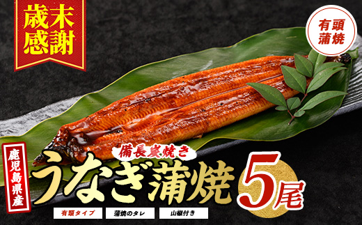 【歳末感謝！】【鹿児島県産】鰻蒲焼5尾(奈良/036-1312) うなぎ 国産 鹿児島 蒲焼 丑の日 丑 土用丑の日