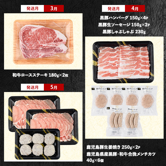 【2026年発送 先行予約】【全１０回定期便】鹿児島自慢の豚・牛・うなぎ 満足定期便(水迫畜産/Z100-528) 国産 鹿児島県産 ウナギ 鰻 牛肉 豚肉 肉 牛 豚 生ハム うなぎ蒲焼 蒲焼 蒲焼き すきやき すき焼き 生姜焼き 合いびき 合挽 味付 和牛 黒豚 いぶすき ホルモン カルビ ハンバーグ 切り落とし 焼肉 しゃぶしゃぶ ステーキ ソーセージ 指宿 鹿児島 頒布会 定期