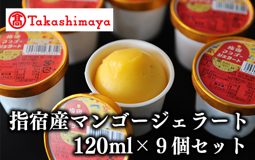 ＜高島屋選定品＞指宿マンゴージェラート9個セット(TK017-1835/59D1953)
