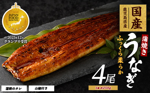 【鹿児島県産】うなぎ蒲焼じっくり焼き約250g×4尾 木目化粧箱入り(大新/038-1108) 鰻 蒲焼 国産 丑の日 うな重 無頭 ギフト ふっくら 小分け レンジ 簡単