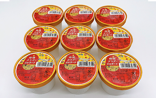 ＜高島屋選定品＞指宿マンゴージェラート9個セット(TK017-1835/59D1953)