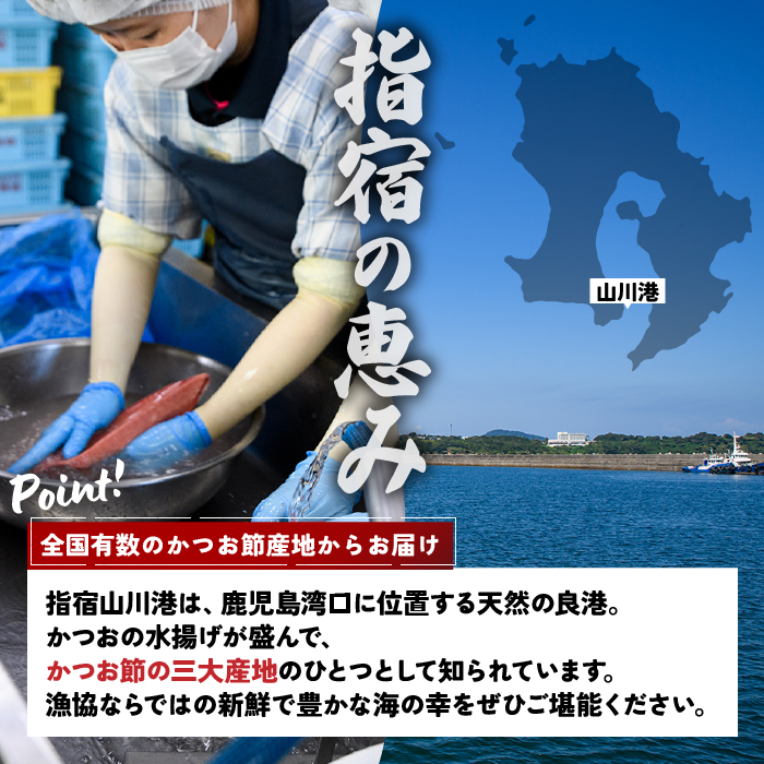 6種のすり身 300g×各1本(計1.8kg)セット(山川町漁協/010-1204) すりみ スリミ 魚 魚惣菜 さかな 魚介 海鮮 さつまあげ さつま揚げ そうざい 冷凍 味付き しいら シイラ 甘口 甘さ控えめ 薄味 うすあじ うす味 アジ あじ いわし イワシ ブリ ぶり 指宿 いぶすき 鹿児島