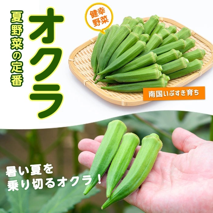 æå®¿(ãã¶ãã)ç£ãªã¯ã©1kg (ãªããã¡ãŒã /IB130-004) éè å€éè æ¬ ç¹ç£ å€ æ°é®® ãªã¯ã© 鹿å
å³¶ ãªããã¡ãŒã æå®¿åž