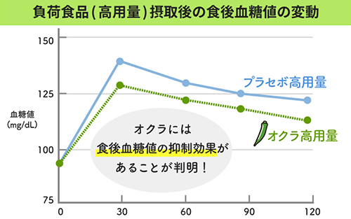 【機能性表示食品】オクラパウダー120g　食後の血糖値上昇を抑える！オクラ由来水溶性食物繊維のちから(エール/014-1079) オクラ 機能性 機能性表示食品 いぶすき 指宿 健康 オクラ水