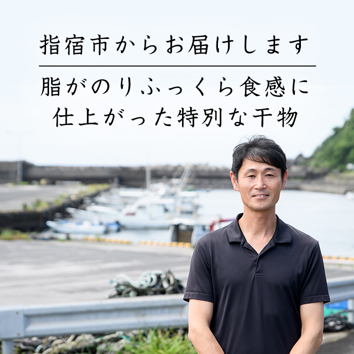 桜島の火山灰で鹿児島県産天然鯛を一晩熟成 旨味が詰まった『薩摩の灰干し天然鯛6点セット』(浜上水産/A-338)