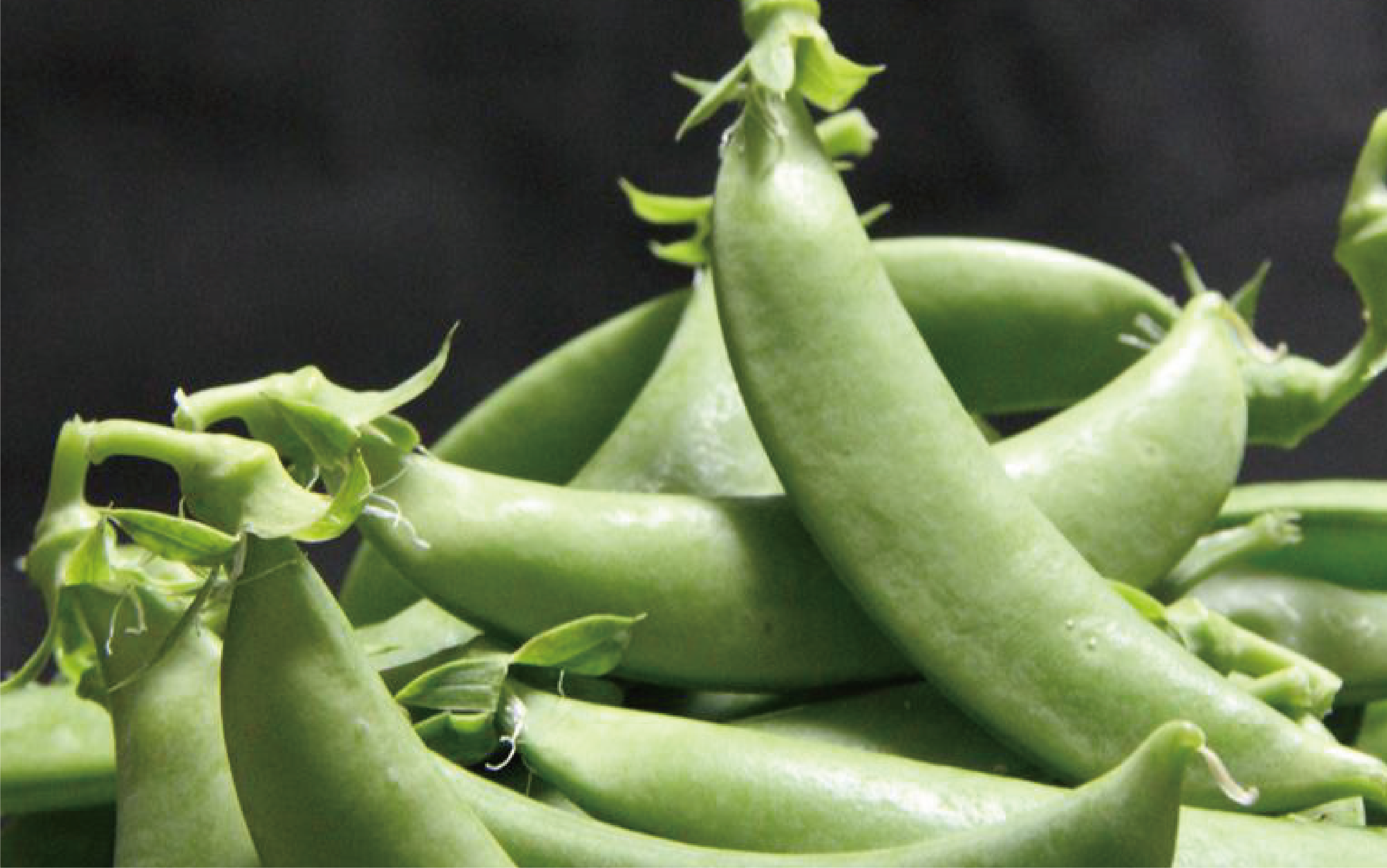 【2026年1月中旬〜発送】豆ざんまい(アグリスタイル/A-294) 鹿児島県 指宿市 新鮮 直送 レンジで簡単調理 豆 えんどう豆 スナップエンドウ そら豆 国産 野菜 キヌサヤエンドウ 絹サヤ さや付きそら豆 オランダエンドウ