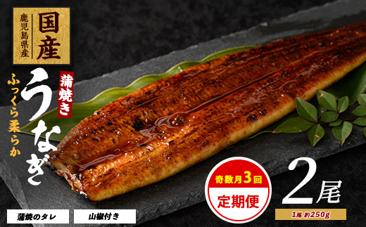 【全３回定期便・奇数月お届け】鹿児島県産 うなぎ 蒲焼 じっくり焼き約250g×2尾(大新/Z060-1694) 鰻 蒲焼 国産 丑の日 うな重 無頭 ギフト ふっくら 小分け レンジ 簡単 頒布会 小分け うな丼 ウナギ 冷凍