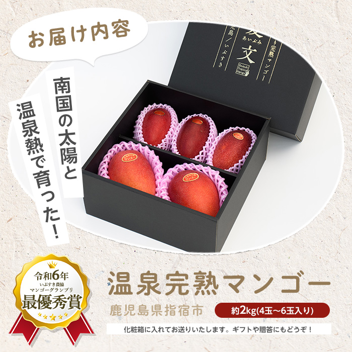 【2026年 発送 先行予約】南国いぶすきの温泉熱で育てた甘くて上品な温泉完熟マンゴー約2kg4〜6個(T&P/IB057-002) マンゴー フルーツ 果物 旬 夏 指宿 いぶすき 鹿児島  完熟  お供え 御供 ギフト 贈り物 プレゼント グルメ 予約 先行予約 南国 南国フルーツ 果実 マンゴー 太陽 国産 鹿児島県産 果汁