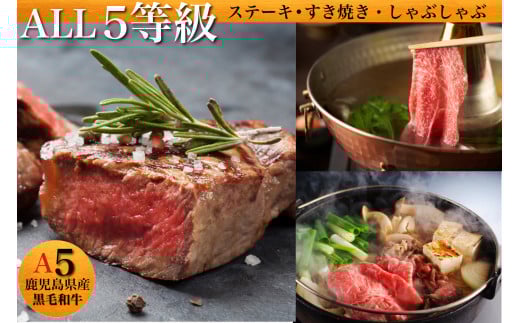 ALL5等級鹿児島県産黒毛和牛(水迫畜産/033-1196)