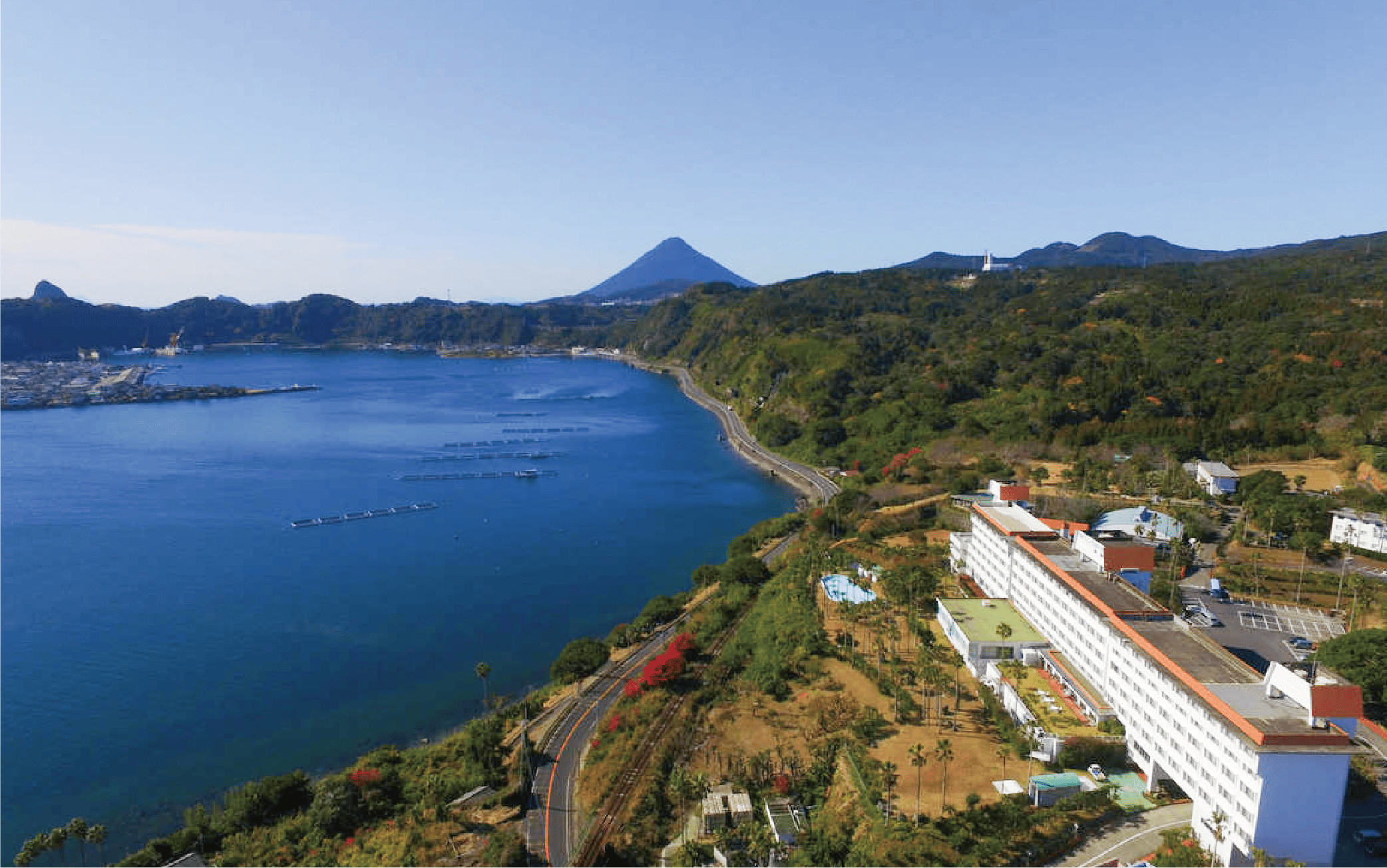 【鹿児島ひとり旅】1泊素泊まり宿泊券(指宿フェニックスホテル/033-1102) ホテル 宿泊券 旅行 旅 いぶすき ビジネス 素泊まり 砂むし 温泉