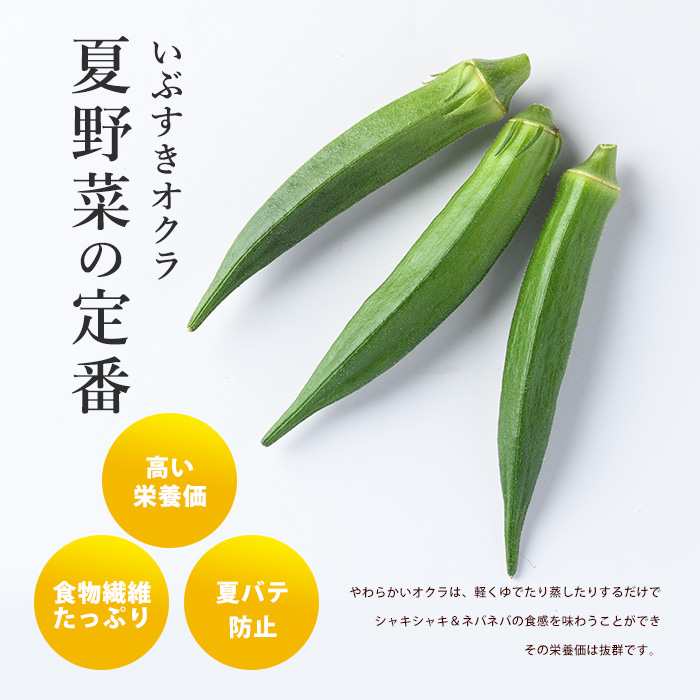 【2026年5月上旬～発送】栽培期間中、農薬の使用を抑えた指宿産オクラ160本(8本入×20袋)(エコオクラグループ/IB166-001) オクラ おくら 野菜 夏野菜 旬 特産 夏 新鮮 鹿児島県