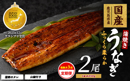 【全３回定期便・偶数月お届け】鹿児島県産 うなぎ 蒲焼 じっくり焼き約250g×2尾(大新/Z060-1695) 鰻 蒲焼 国産 丑の日 うな重 無頭 ギフト ふっくら 小分け レンジ 簡単 頒布会 小分け うな丼 ウナギ 冷凍