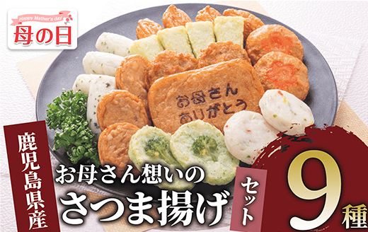 【母の日ギフト】お母さん想いのさつま揚げセット(岡村商店/IB024-005m) 母の日 ギフト プレゼント 贈り物 さつま揚げ さつまあげ つきあげ シュウエイ 小田口屋 おつまみ おかず 惣菜