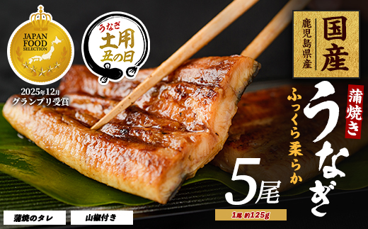 【丑の日に合わせてお届け！】【鹿児島県産】うなぎ蒲焼じっくり焼き約125g×5尾 化粧箱入り(大新/IB021-009u)鰻 ウナギ 蒲焼 国産 丑の日 うな重 無頭 ギフト プレゼント 贈り物 贈答 惣菜 総菜 小分け レンジ 簡単 蒲焼き 冷凍 鹿児島県産