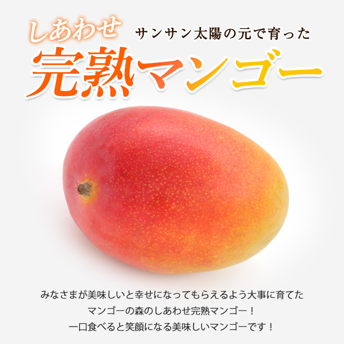 【2026年 発送】しあわせ完熟マンゴー3〜6玉入り(マンゴーの森/044-1768) マンゴー フルーツ 果物 旬 夏 指宿 いぶすき 鹿児島  完熟  お供え 御供 ギフト 贈り物 プレゼント グルメ 予約 先行予約 南国 南国フルーツ 果実 マンゴー グランプリ マイスター 太陽 国産 鹿児島県産 果汁