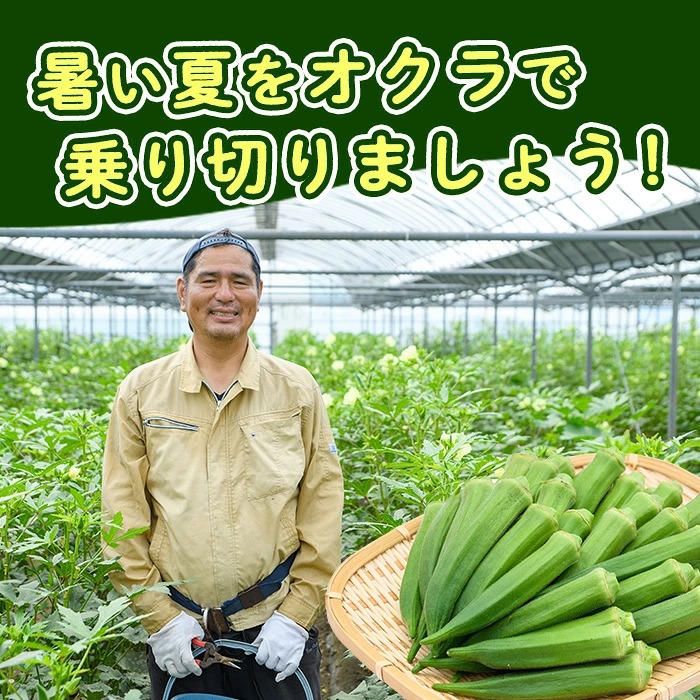 æå®¿(ãã¶ãã)ç£ãªã¯ã©1kg (ãªããã¡ãŒã /IB130-004) éè å€éè æ¬ ç¹ç£ å€ æ°é®® ãªã¯ã© 鹿å
å³¶ ãªããã¡ãŒã æå®¿åž