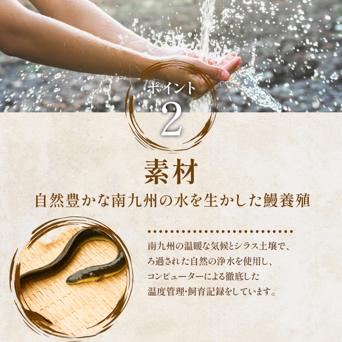 【全３回定期便】鹿児島産うなぎ堪能定期便(奈良/IBZ020-002) 国産 鰻 小分け 鹿児島 蒲焼 丑の日 いぶすき