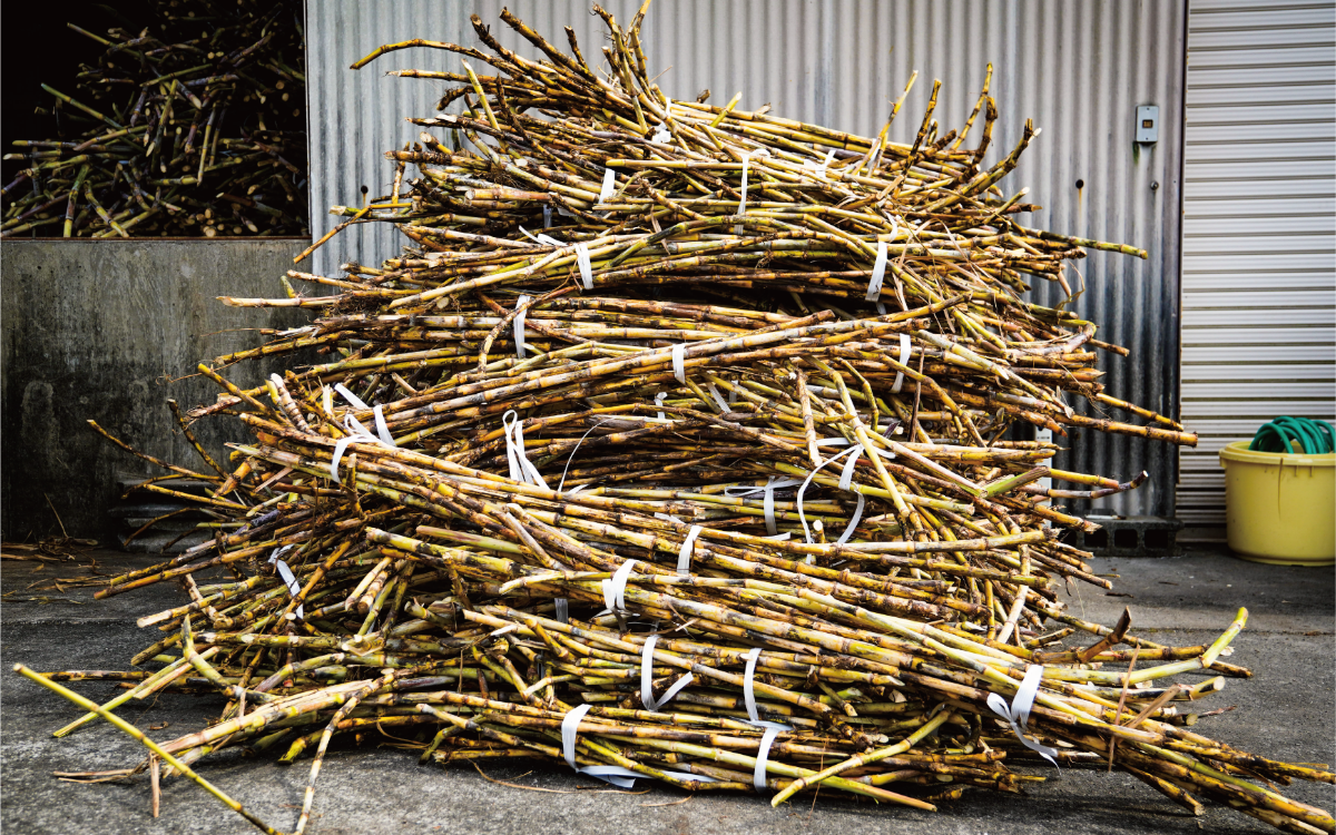 【鹿児島県産黒糖使用】国産クラフトラム ACOU RUM WHITE 500ml(大山甚七商店/010-509) ESSE ふるさと グランプリ 2023 金賞 授賞 ホワイトラム ラム カクテル オーガニック 黒糖 国産 いぶすき アコウ モヒート お酒