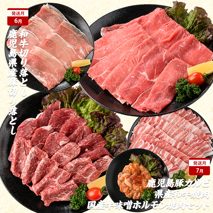 【2026年発送 先行予約】【全１０回定期便】鹿児島自慢の豚・牛・うなぎ 満足定期便(水迫畜産/Z100-528) 国産 鹿児島県産 ウナギ 鰻 牛肉 豚肉 肉 牛 豚 生ハム うなぎ蒲焼 蒲焼 蒲焼き すきやき すき焼き 生姜焼き 合いびき 合挽 味付 和牛 黒豚 いぶすき ホルモン カルビ ハンバーグ 切り落とし 焼肉 しゃぶしゃぶ ステーキ ソーセージ 指宿 鹿児島 頒布会 定期