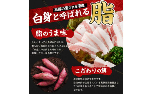 【指宿産かごしま黒豚】焼肉バラエティセット1kg(岡村商店/IB024-013)